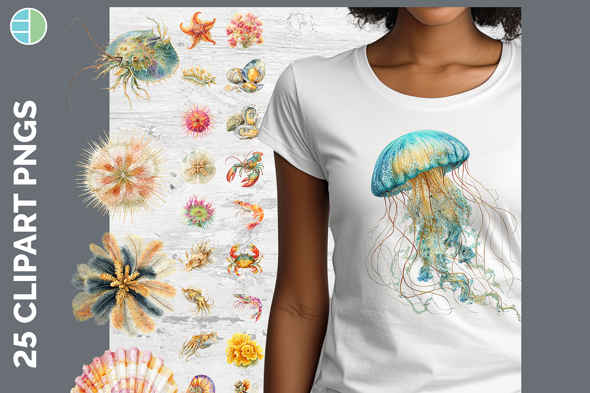 Marine Invertebrate Clipart, 25 PNG, an Animal Illustration by Enliven Designs (Photo 1 of 8)