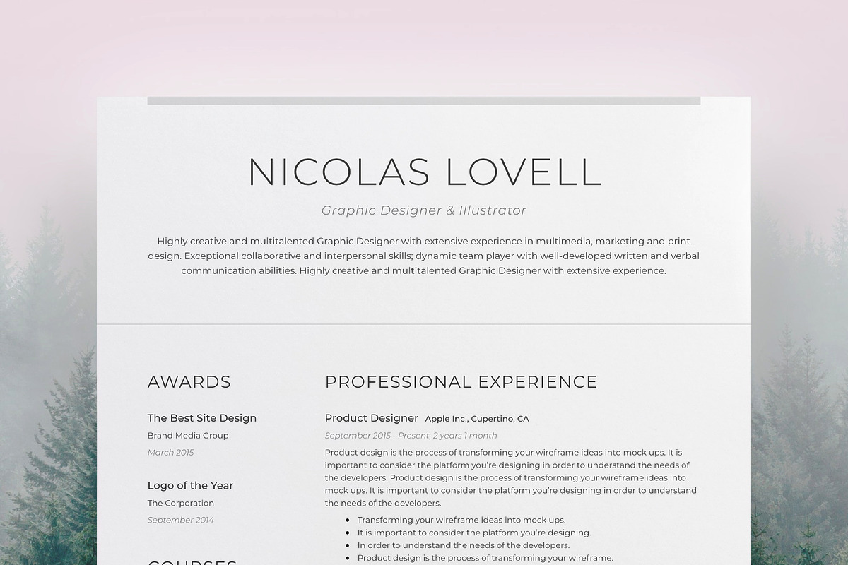 Professional Resume 2, a Resume Template by DEFNST (Photo 2 of 3)