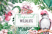 Tropical Wildlife Watercolor set, an Illustration by Ann Art Houze (Thumbnail 1 of 13)
