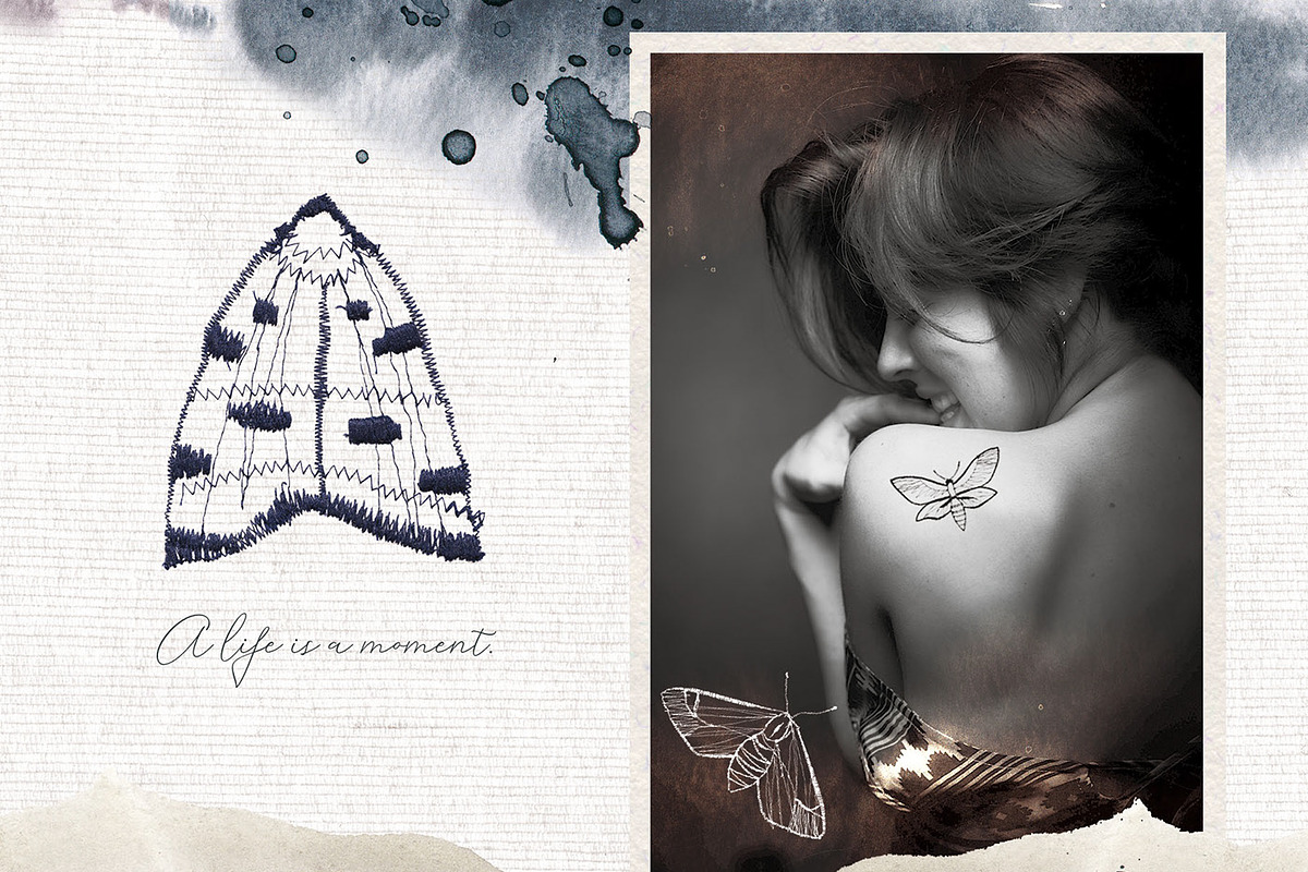 Handmade Embroidery Moth Flying, an Object Graphic by InstaDesignPro (Photo 4 of 11)