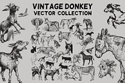 Vintage Donkey Vector Collection, an Animal Illustration by Heather ...