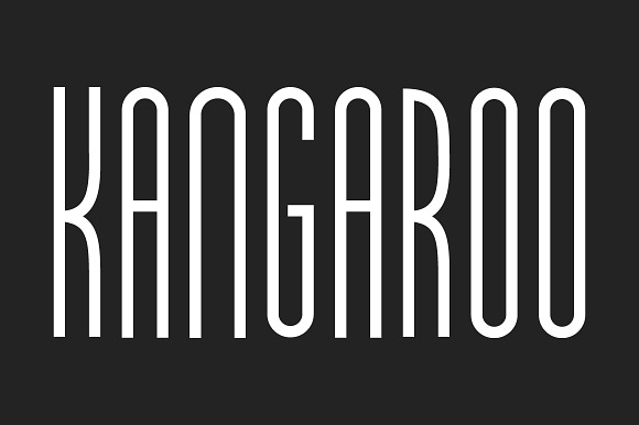 KANGAROO - Condensed Sans Serif preview 6
