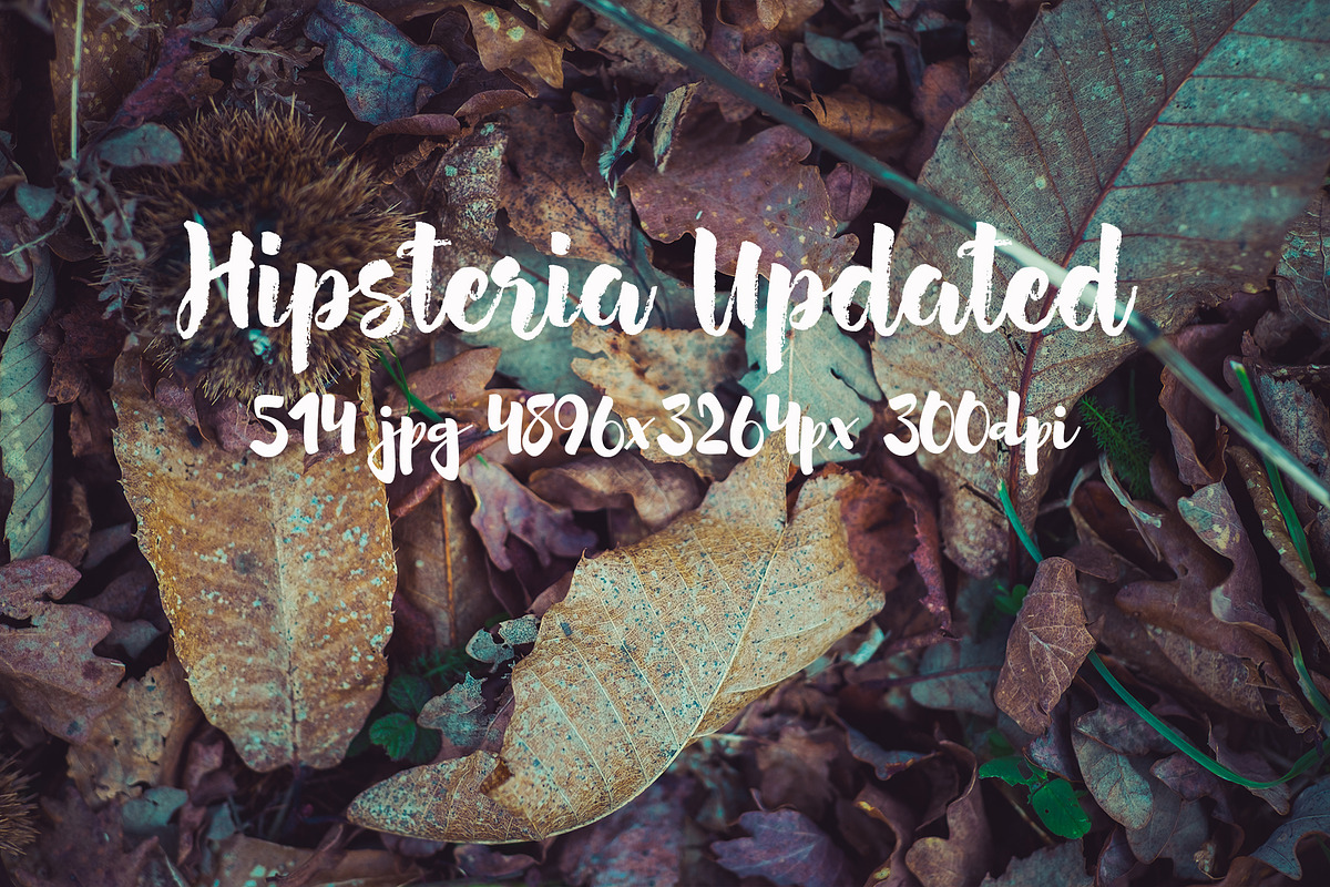 Hipsteria photo pack, a Templates & Theme by ApertureVintage (Photo 42 of 48)