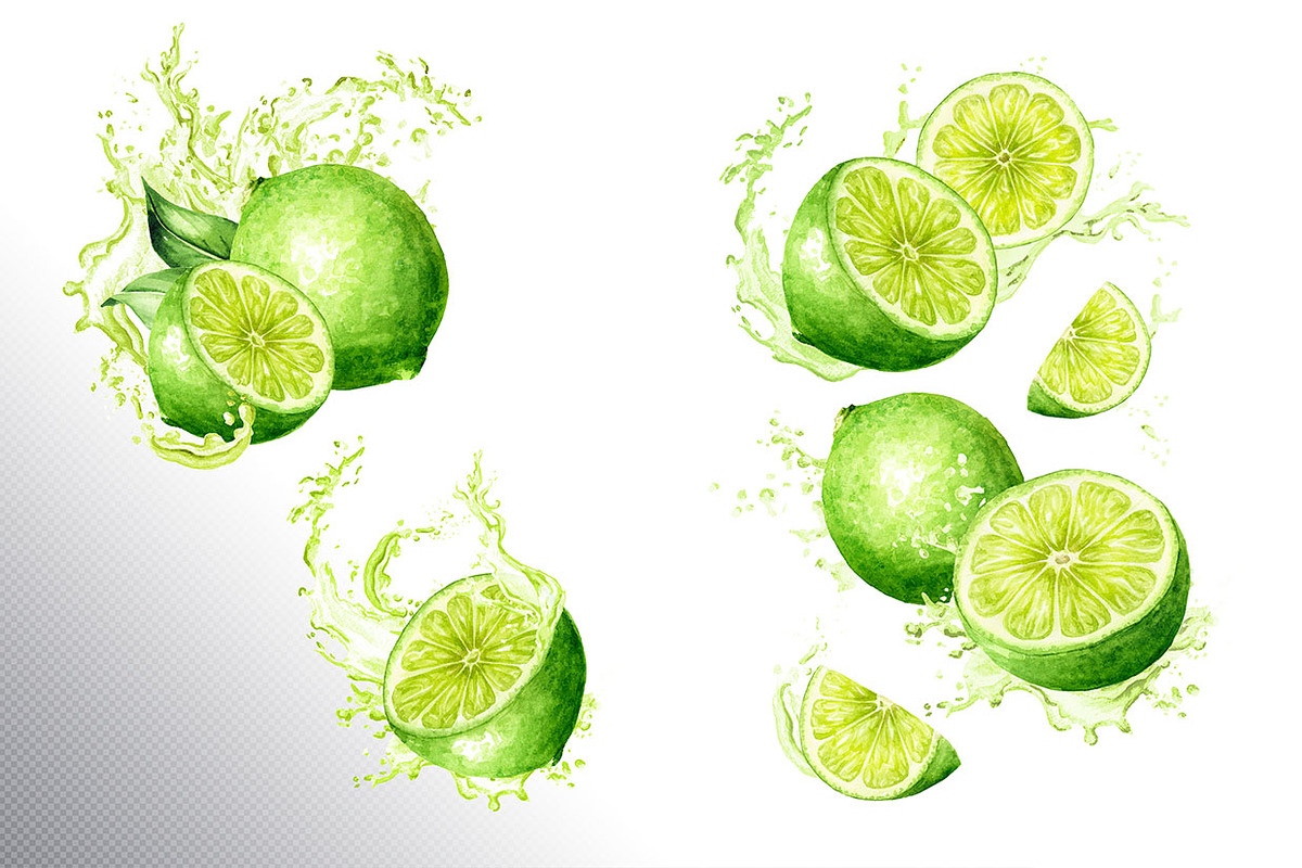 Lime citrus. Watercolor collection, a Food Illustration by Daria Ustiugova (Photo 9 of 21)