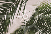 Gentle Tropics graphic kit, a Decorative Illustration by Dinkoobraz (Thumbnail 12 of 17)