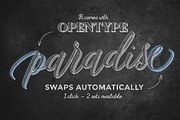 Amelia Script - Fine version, a Script Font by Blessed Print (Thumbnail 12 of 18)