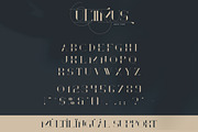 Ultimus serif font + Extras, a Serif Font by VP Fonts (Thumbnail 7 of 11)