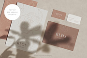 Minimalist Peony Line Sketches, a Decorative Illustration by Galerie Design Studio (Thumbnail 4 of 10)