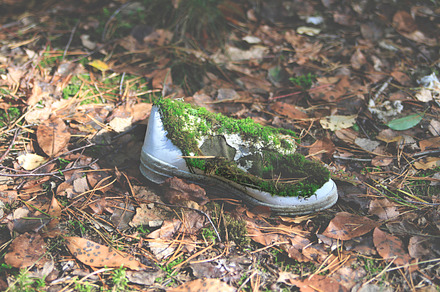 World Of Moss preview 5