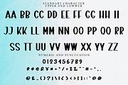 Vintage School, a Script Font by FreshTypeINK (Thumbnail 6 of 7)