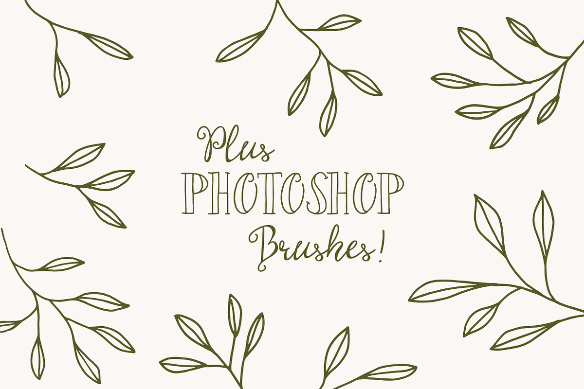 Olive Branch Clip Art & Vectors preview 5