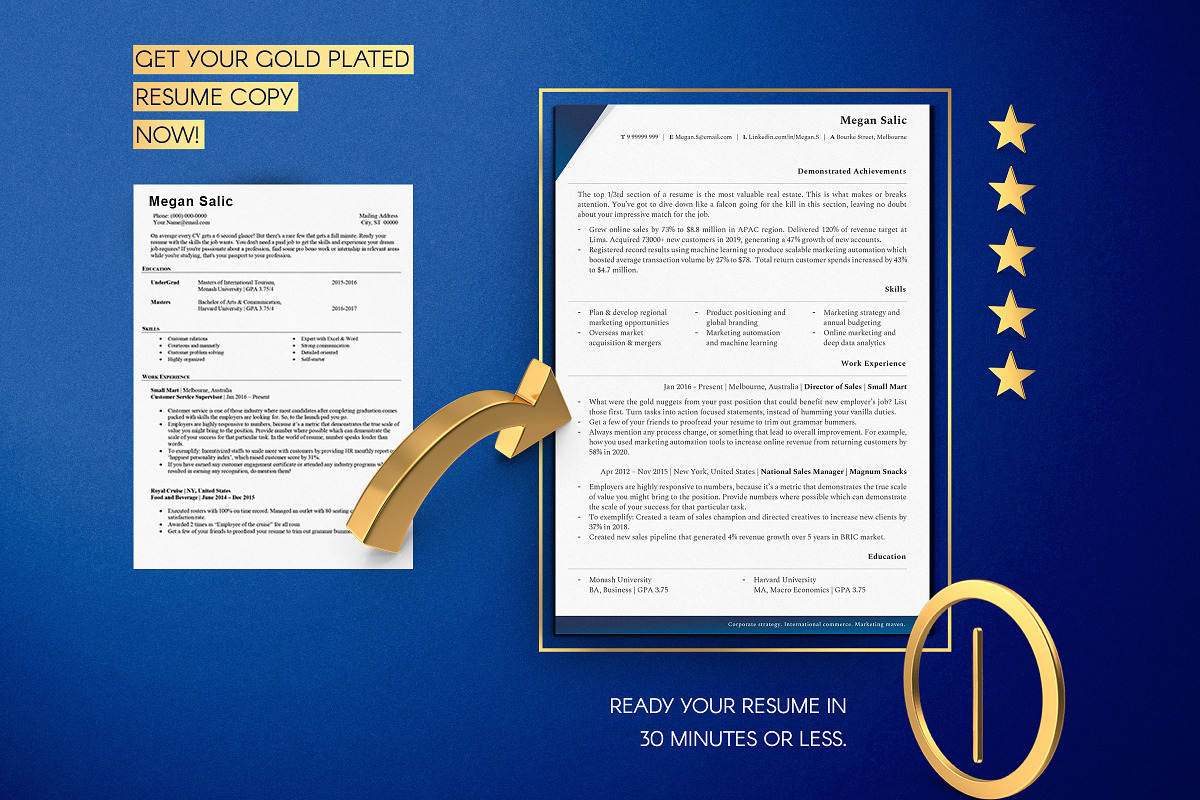 CEO Resume Template, CV Templates, a Resume Template by Career Canvas (Photo 10 of 11)