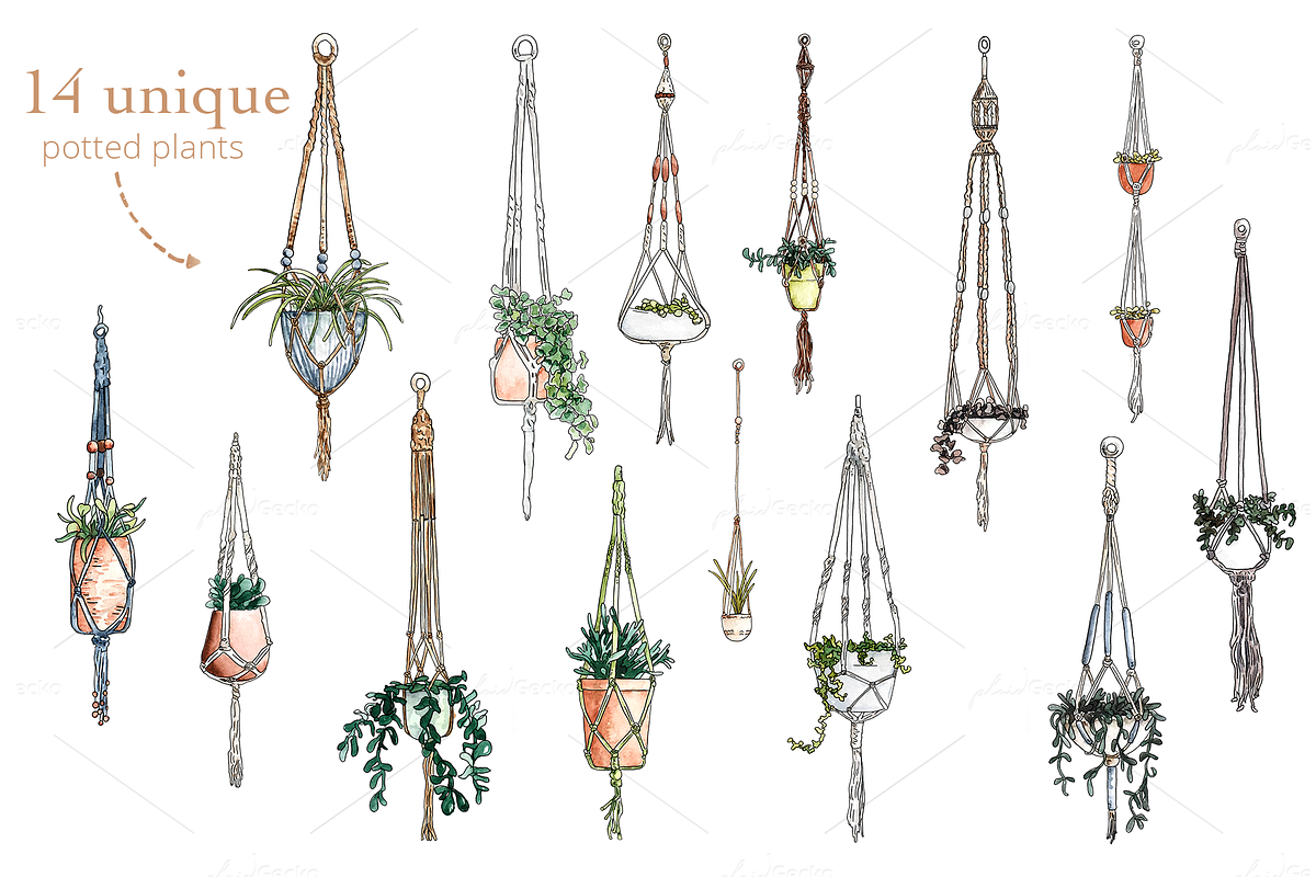 Watercolor Hanging Plant Sky Garden, an Illustration by plaidGecko (Photo 2 of 8)