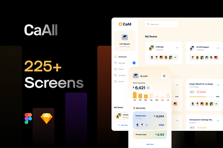CaAll Dashboard & App UI Kit, an App Template by CaDesign