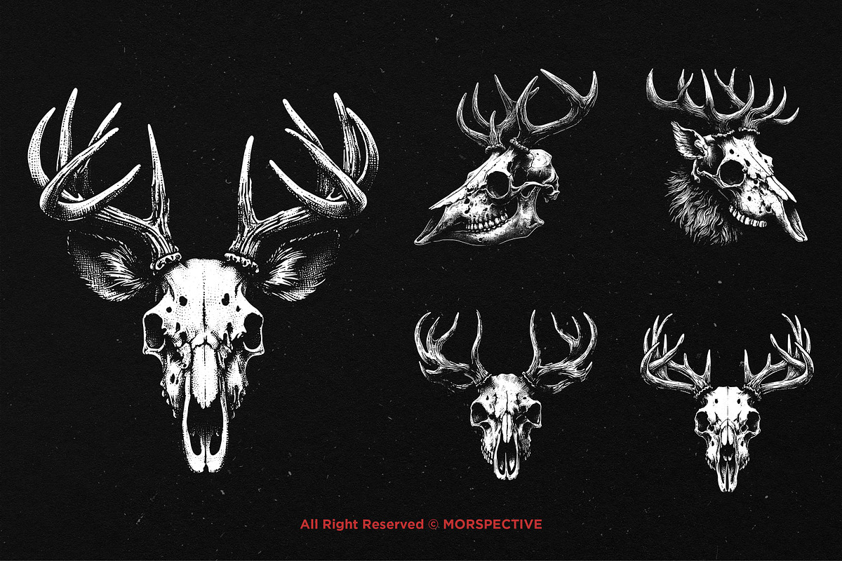 10 Bundle Dark Art Skull Deer Head, an Illustration by Morspective (Photo 3 of 7)