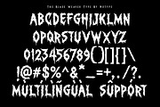 Blade Weaver - Blackletter Font, a Blackletter Font by NuType (Thumbnail 7 of 10)