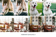 Vibrant Lightroom Presets Mobile, a Preset Add-On by VEER (Thumbnail 9 of 18)
