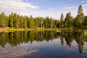 View over a lake near the Swedish village Annaboda