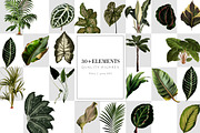 Wild Leafs (Foliage Pattern), a Wallpaper Graphic by Luiz da Rolt Grathwohl (Thumbnail 3 of 8)