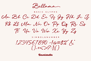 Bellama Signature Font, a Script Font by Basnistudio (Thumbnail 10 of 10)