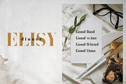 America Serif Font Family, a Serif Font by Anna Zakharchenko (Thumbnail 4 of 13)