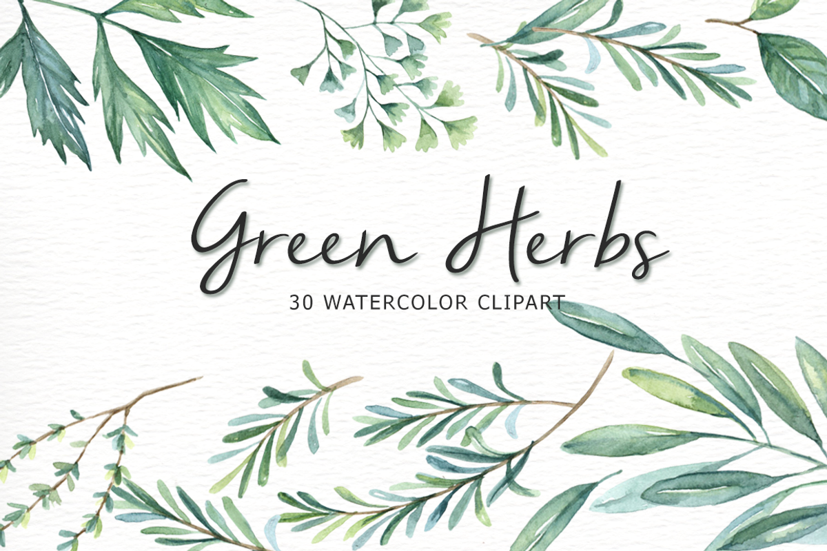 Green Herbs Watercolor clipart, a Food Illustration by everysunsun (Photo 1 of 5)