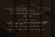 Brittney Signature Business Font, a Script Font by KennedyStudio (Thumbnail 9 of 11)