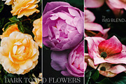 Dark toned flowers, stock photo set, a Photo by Imageblend (Thumbnail 5 of 6)