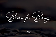 Portrait - A Signature Script, a Script Font by Hustle Supply Co. (Thumbnail 6 of 9)