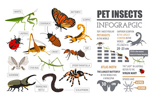 Pet Insects Illustrations Set