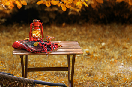 Autumn composition in garden, an Arts & Entertainment Photo by LanaSweet