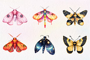 Watercolor Butterfly Clipart, an Illustration by CreationArt (Thumbnail 3 of 9)