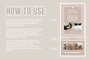 Beige Newsletter Templates