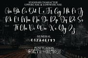 Beauty Roselia, a Handwritten Font by FreshTypeINK (Thumbnail 7 of 7)