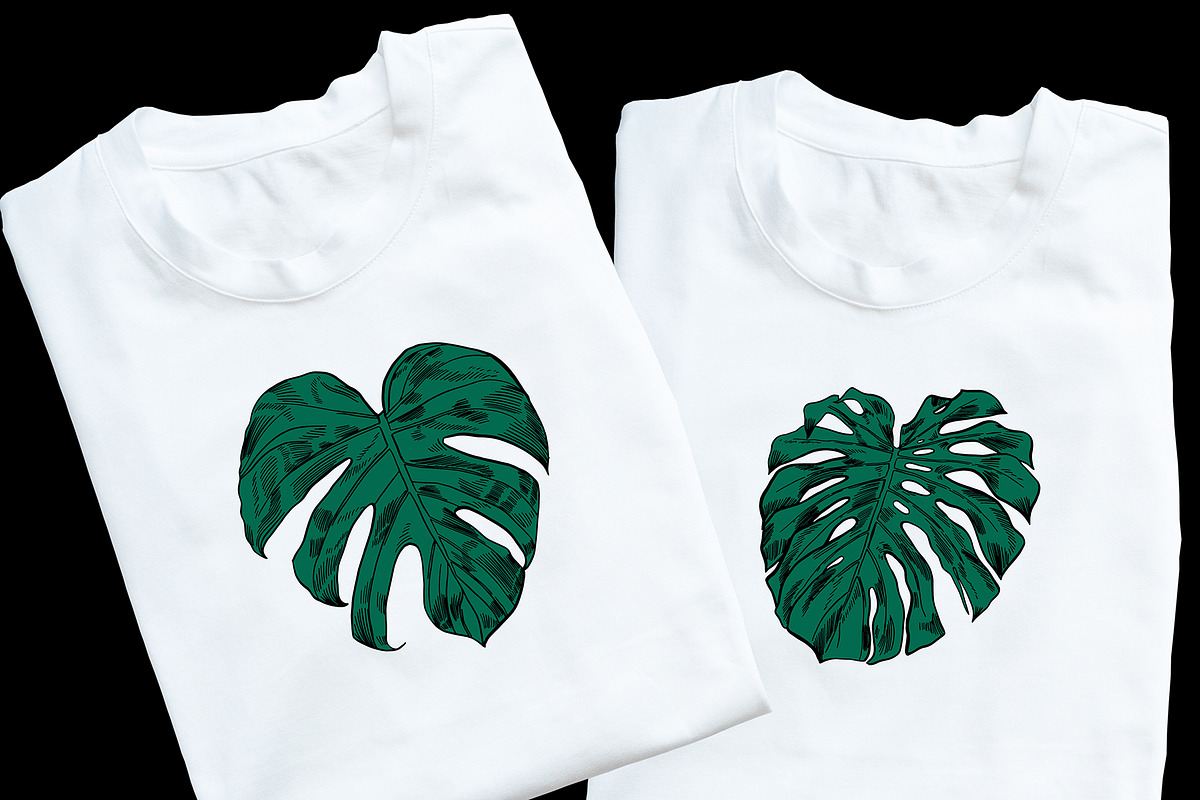 Green MONSTERA Leaves, an Illustration by Tanya Akhmett (Photo 2 of 8)
