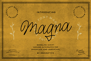 Magna - Monoline Script Font, a Script Font by Inspiratype