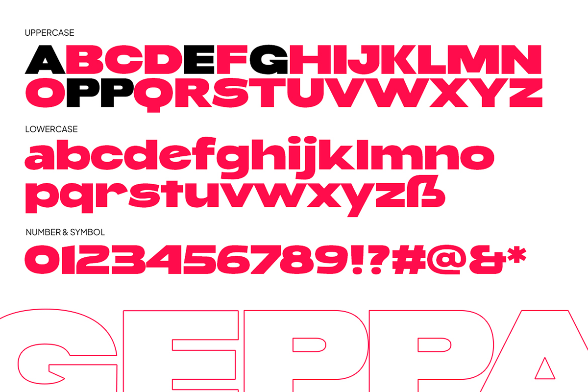 Geppa - Expanded Sans Serif, a Sans Serif Font by Pekotype (Photo 5 of 8)