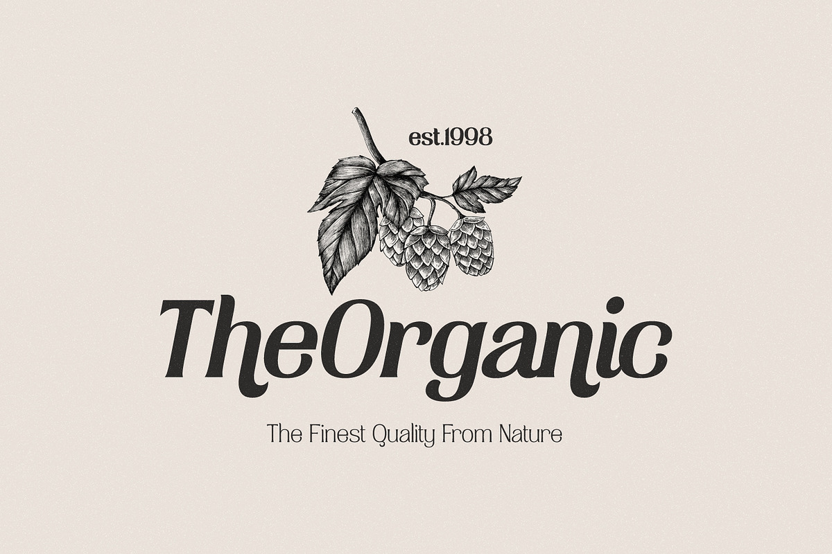 Havenite, a Serif Font by din-studio.com (Photo 9 of 16)