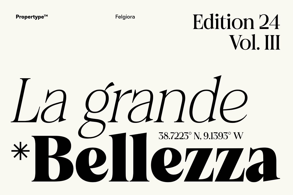 Felgiora, a Serif Font by Propertype (Photo 2 of 16)