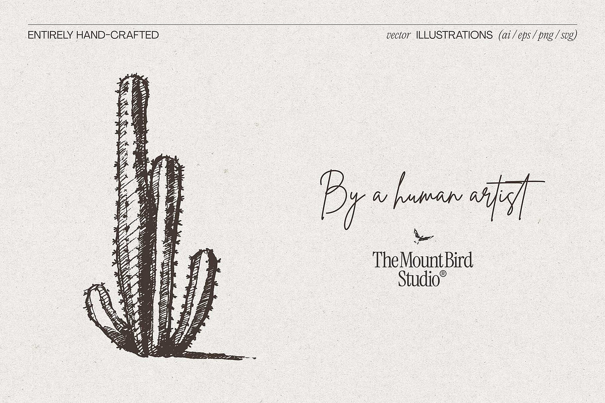 Sketch Cacti Vector Bundle, a Seasonal Illustration by TheMountBirdStudio (Photo 3 of 14)
