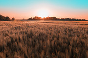 Orange & Teal Lightroom Presets, an Action Add-On by Maple Visuals (Thumbnail 9 of 9)