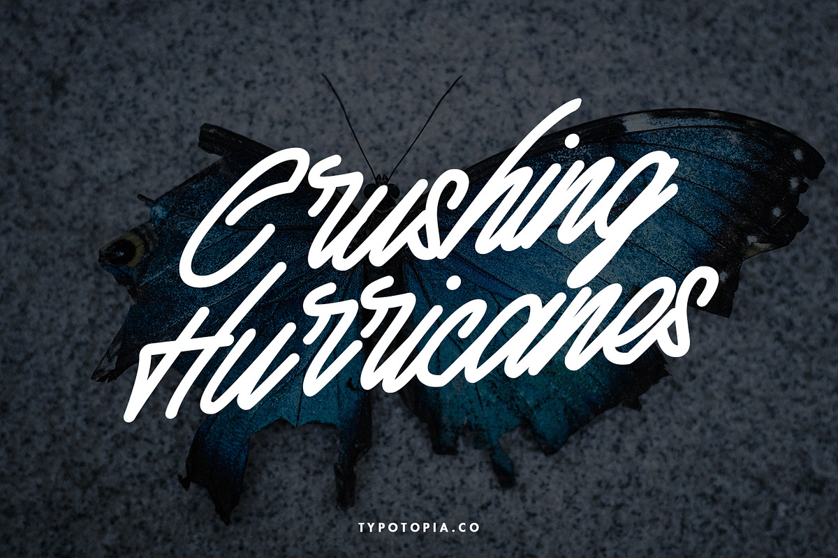 Athena Script Font, a Script Font by edukka (Photo 8 of 10)