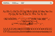 CS Hasten Drawn, a Serif Font by Craft Supply Co. (Thumbnail 8 of 8)