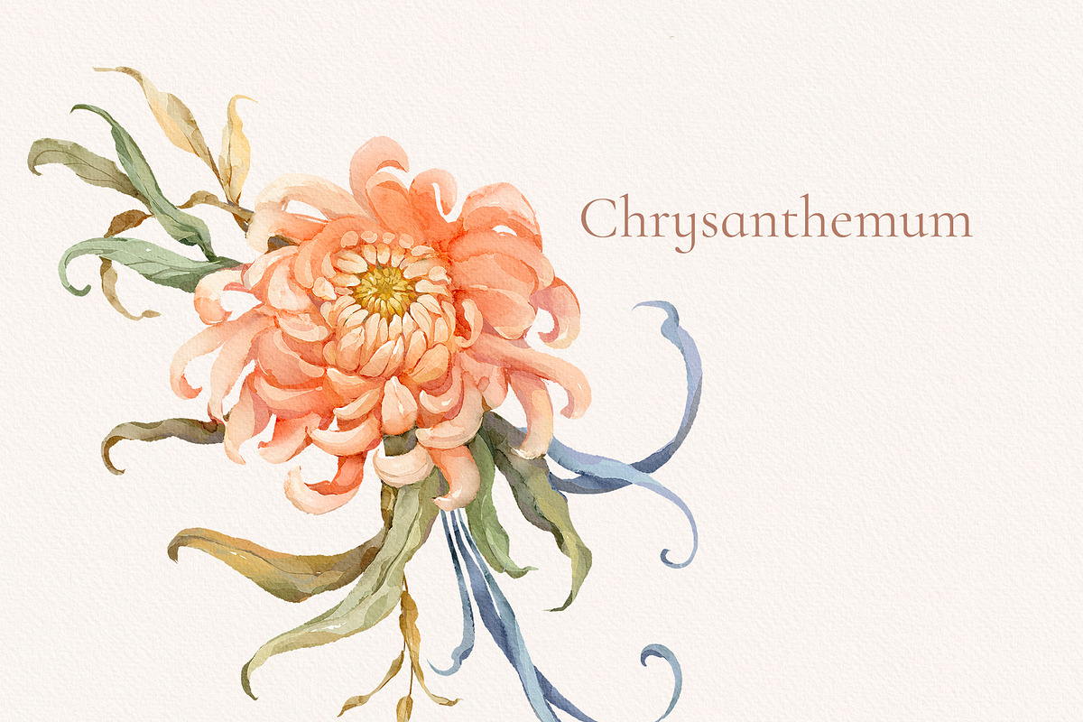 Wild Flower Clip art, a Decorative Illustration by Ekaproeka (Photo 5 of 10)