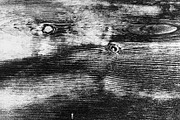 Wood Grain Overlay / Texture Pack 1, a Texture Graphic by Ryan McGehee (Thumbnail 8 of 13)