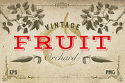 Vintage Bundle of Wonder, an Object Graphic by Eclectic Anthology (Thumbnail 11 of 22)