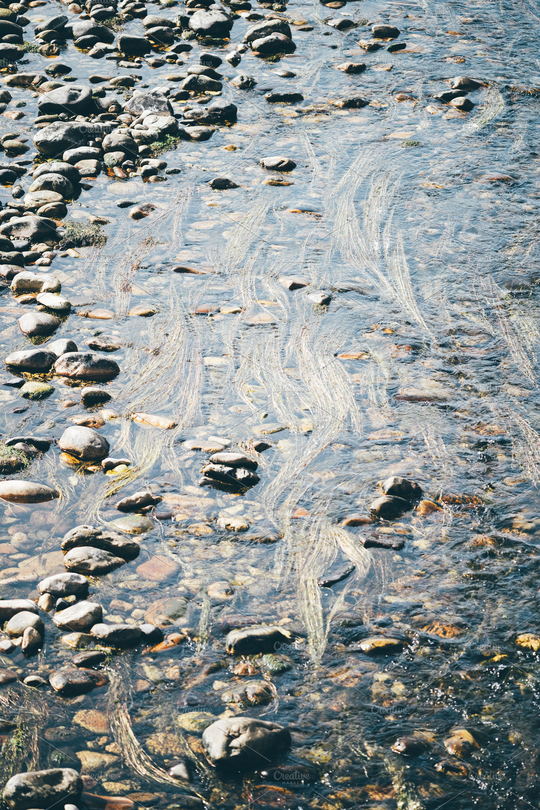 Clear stream over river stones, a Wallpaper Photo by SkyNext