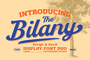 The Bilany - Display Font Duo, a Script Font by Letterhend Studio (Thumbnail 1 of 9)
