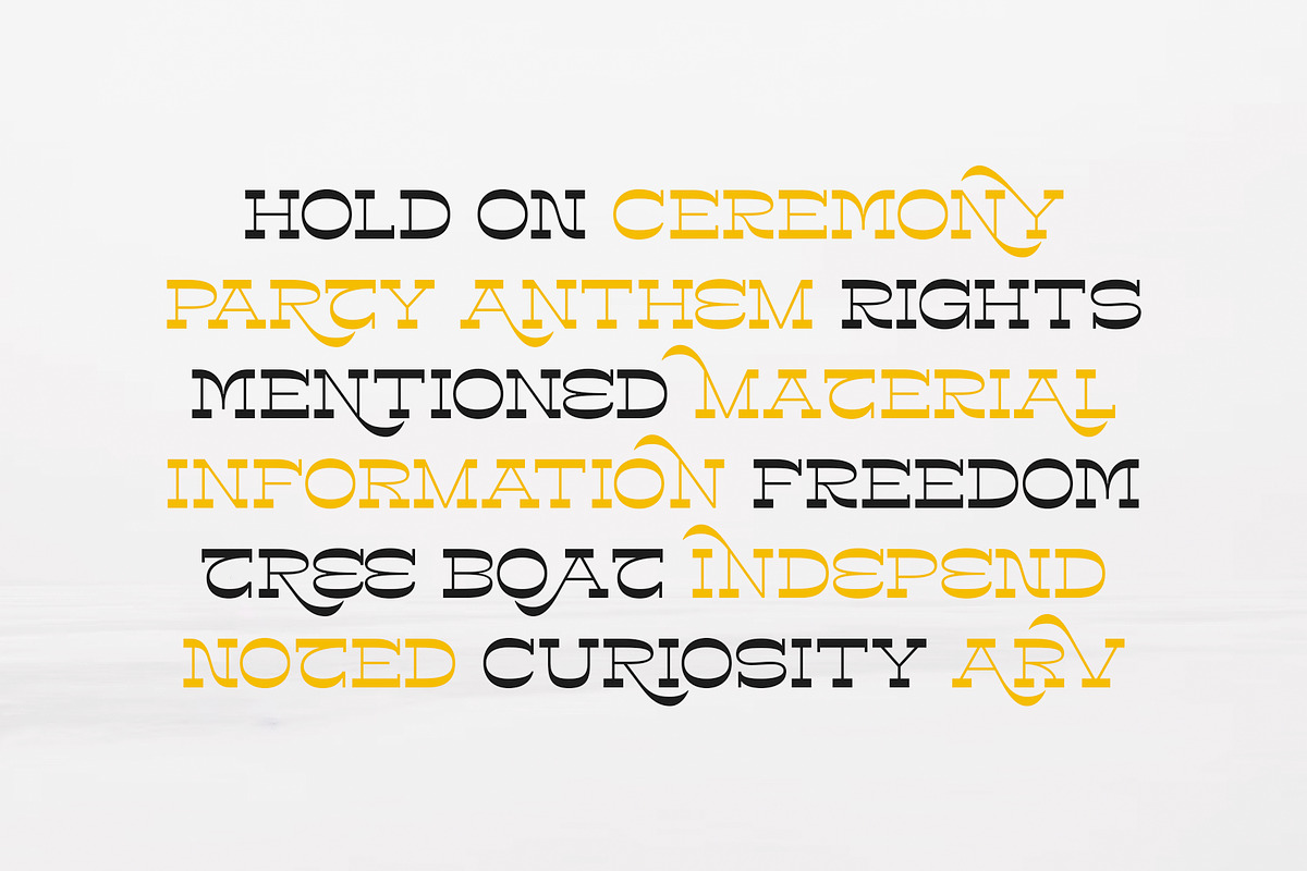 Colter Reversed Slab, a Slab Serif Font by Ryan Prasetya (Photo 2 of 8)