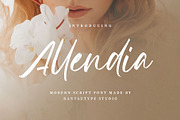 Allendia Modern Script Font, a Script Font by RantautypeStudio (Thumbnail 1 of 15)